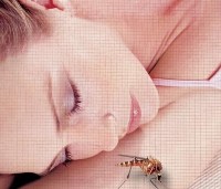 Insektenschutzgitter schützen vor Wespen